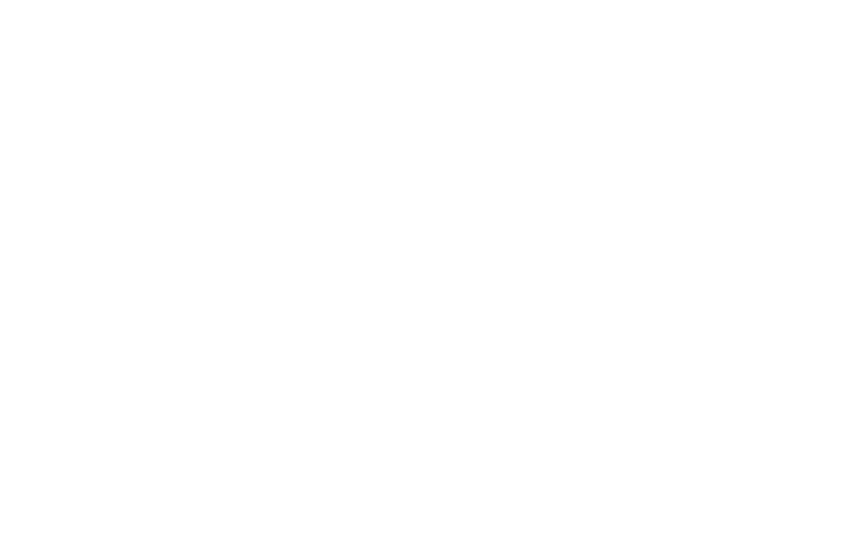 WideScreen Film & Music Video Festival — Quarter-Finalist