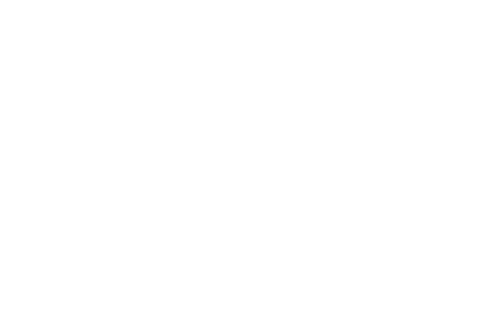 SILBERSALZ Science & Media Awards — Nominee