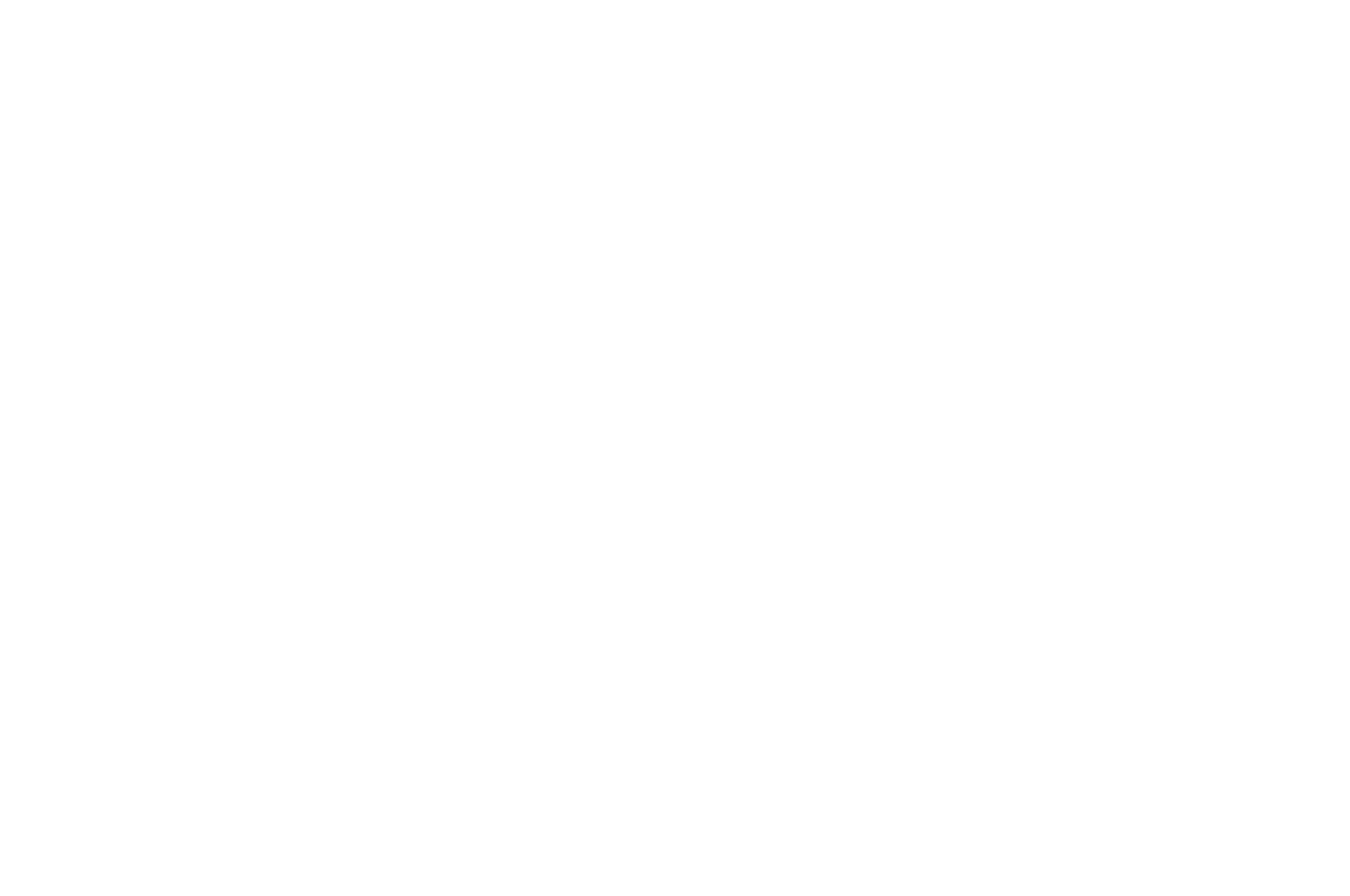 Finish Line Script Competition — Selected
