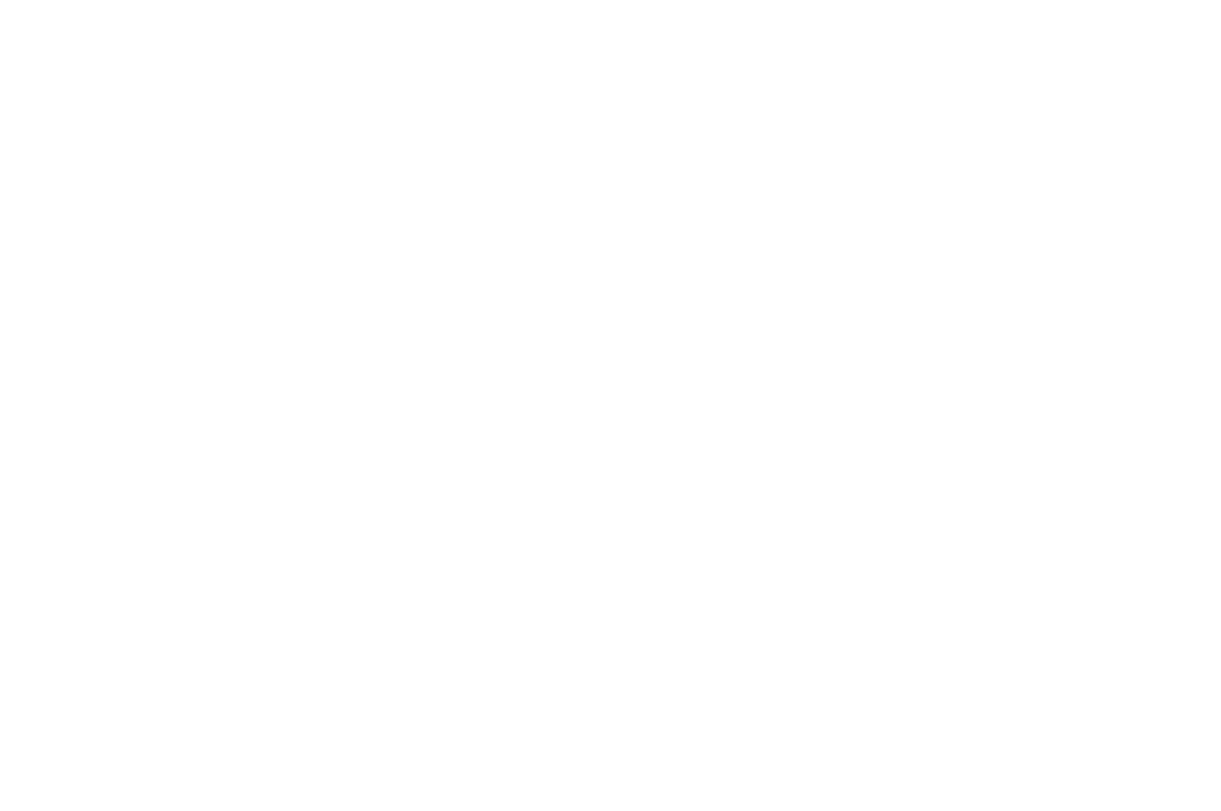 Flickers' Rhode Island International Film Festival — Semi-Finalist